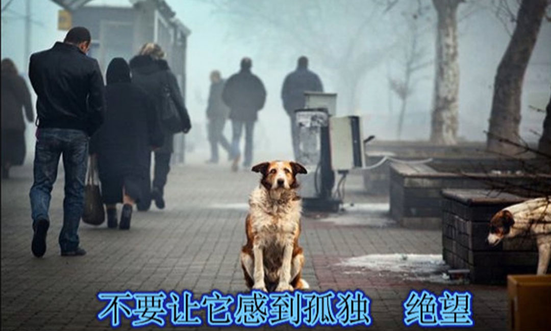 襄阳襄阳爱影圈微博微信转发案例